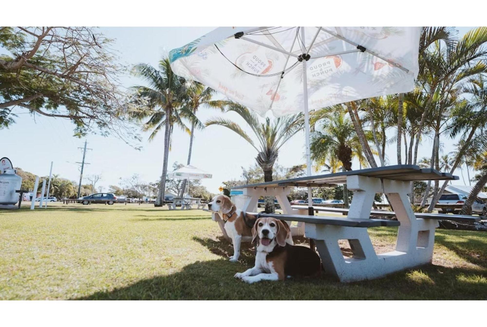 Discovery Parks - Bargara Exterior foto